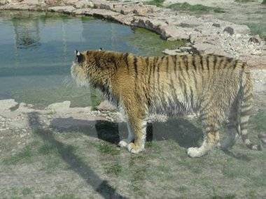 Malkia Park len pár minút od Šamorína sa stále zväčšuje Malkia Park len pár minút od Šamorína sa stále zväčšuje