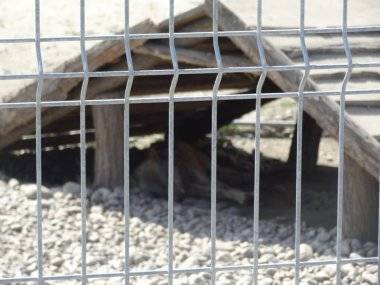 Malkia Park len pár minút od Šamorína sa stále zväčšuje Malkia Park len pár minút od Šamorína sa stále zväčšuje