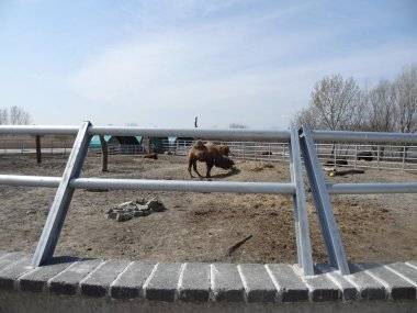 Malkia Park len pár minút od Šamorína sa stále zväčšuje Malkia Park len pár minút od Šamorína sa stále zväčšuje