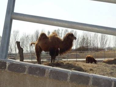 Malkia Park len pár minút od Šamorína sa stále zväčšuje Malkia Park len pár minút od Šamorína sa stále zväčšuje