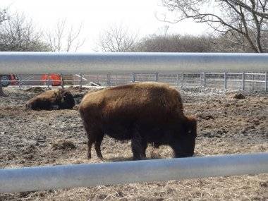 Malkia Park len pár minút od Šamorína sa stále zväčšuje Malkia Park len pár minút od Šamorína sa stále zväčšuje