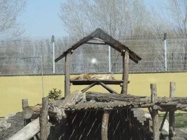 Malkia Park len pár minút od Šamorína sa stále zväčšuje Malkia Park len pár minút od Šamorína sa stále zväčšuje