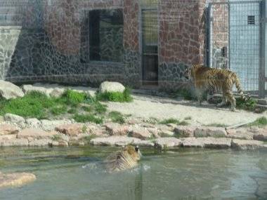 Malkia Park len pár minút od Šamorína sa stále zväčšuje Malkia Park len pár minút od Šamorína sa stále zväčšuje