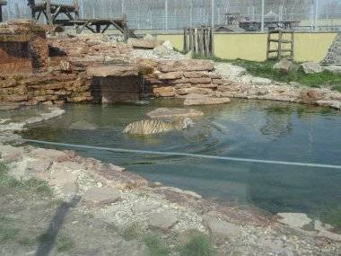 Malkia Park len pár minút od Šamorína sa stále zväčšuje Malkia Park len pár minút od Šamorína sa stále zväčšuje