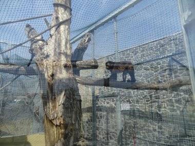 Malkia Park len pár minút od Šamorína sa stále zväčšuje Malkia Park len pár minút od Šamorína sa stále zväčšuje