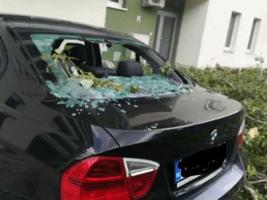 Mesto: Za padnutý strom nemôžeme