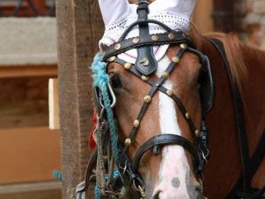 Képriport az „Így oltották a tüzet elődeink” elnevezésű IV. nemzetközi történelmi tűzoltó-technikai kiállításról