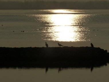 Foto čitateľa: Západ slnka na Dunaji