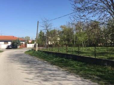 Vyrúbať kvôli škôlke 50 stromov?