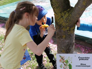 Deti zo šamorínskej MŠ získali 3. miesto v súťaži Ekologický čin roka 2018