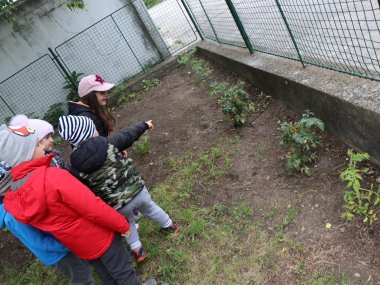 Deti zo šamorínskej MŠ získali 3. miesto v súťaži Ekologický čin roka 2018