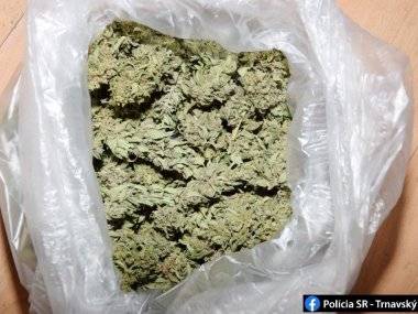 Veľkopestovateľovi marihuany hrozí 15 rokov