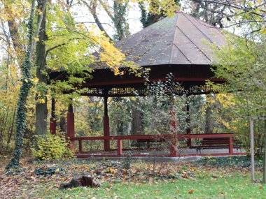 Foto čitateľky: Krása jesenného parku