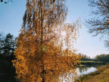 Výsledok druhého kola vianočnej súťaže