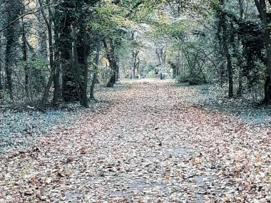 Foto čitateľa: Prechádzka jesenným Šamorínom