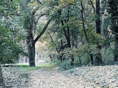 Foto čitateľa: Prechádzka jesenným Šamorínom