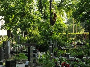 Šamorínsky cintorín je opäť otvorený