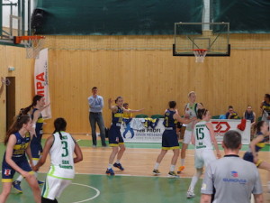 basket - web1