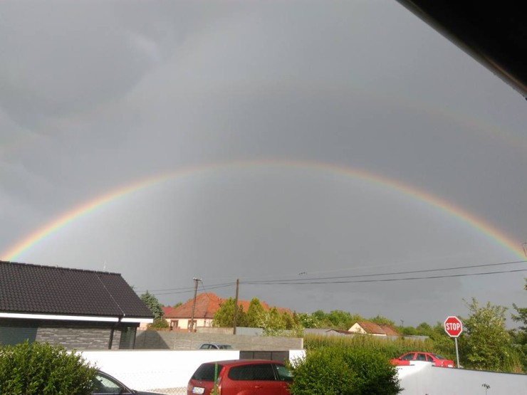 13241191_10208389547670007_1049176164335557593_n