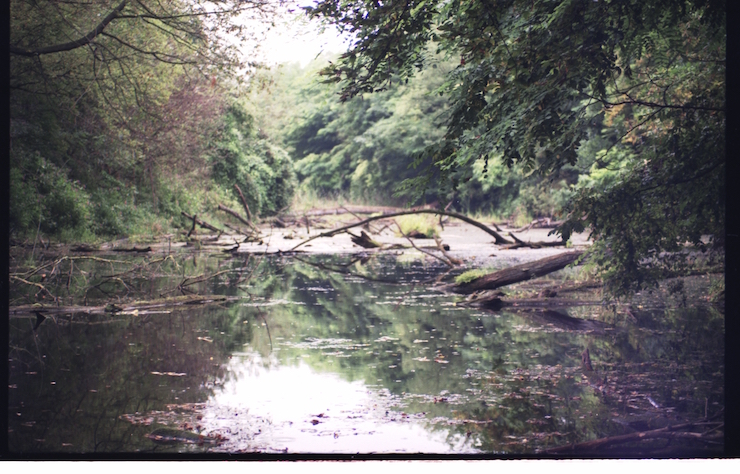 hamuliakovske_rameno