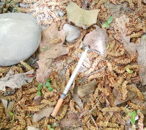 31501486_1880779261941865_3496050722644951040_n