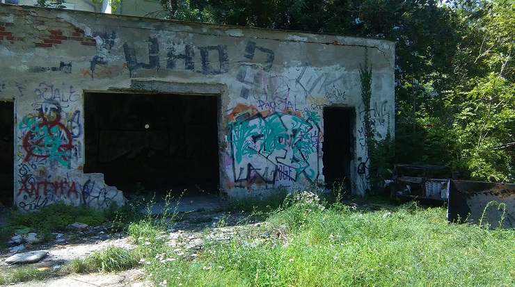 IMAG0830