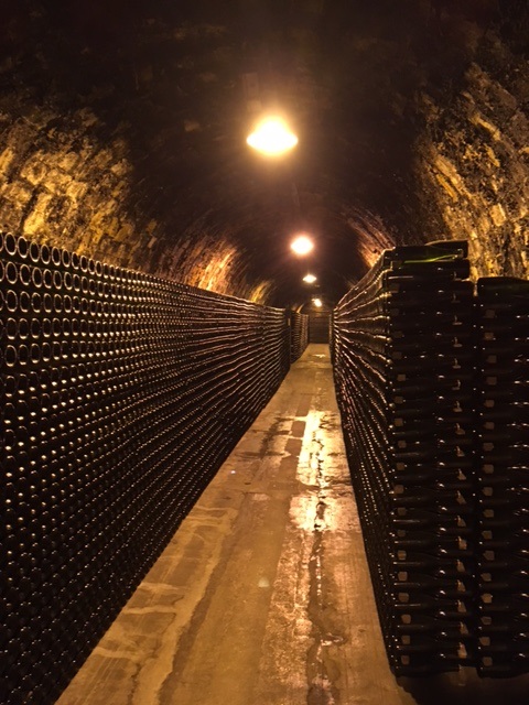 vina4