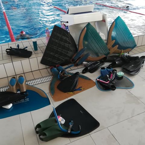 69785435_2451614948393614_8690992599789469696_n