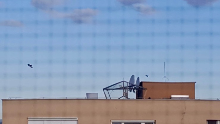 4c3f4cf8-dd37-4100-bb4e-01459ba78515