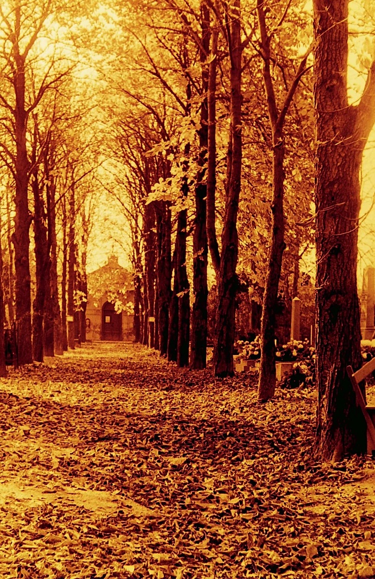 cintorín - 6. časť 1